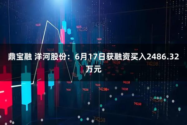 鼎宝融 洋河股份：6月17日获融资买入2486.32万元