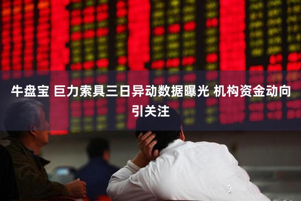 牛盘宝 巨力索具三日异动数据曝光 机构资金动向引关注