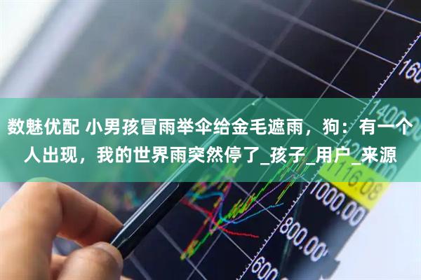 数魅优配 小男孩冒雨举伞给金毛遮雨，狗：有一个人出现，我的世界雨突然停了_孩子_用户_来源