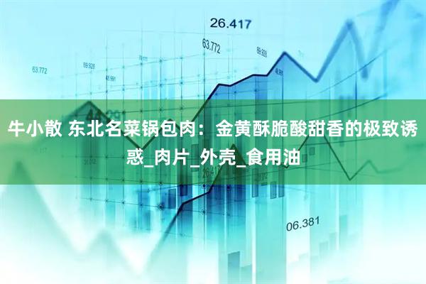 牛小散 东北名菜锅包肉：金黄酥脆酸甜香的极致诱惑_肉片_外壳_食用油
