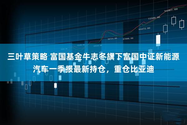 三叶草策略 富国基金牛志冬旗下富国中证新能源汽车一季报最新持仓，重仓比亚迪