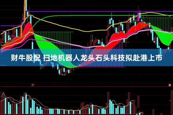 财牛股配 扫地机器人龙头石头科技拟赴港上市